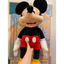 Big Mickey Plush Disneyland...