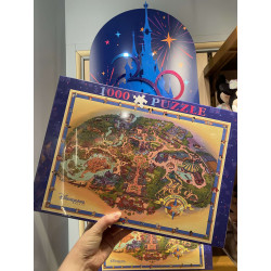 Puzzle fun map Disneyland...
