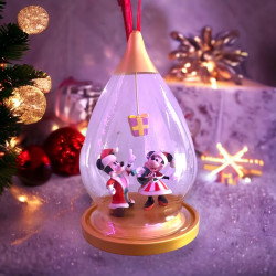 Mickey and Minnie Gift...
