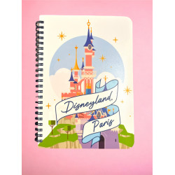 Disneyland Paris notebook...