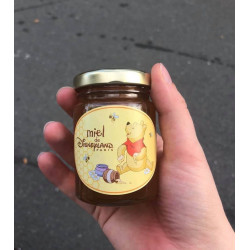 Honey from Disneyland Paris